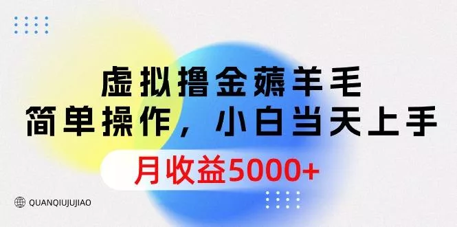 (9864期)虚拟撸金薅羊毛，简单操作，小白当天上手，月收益5000+
