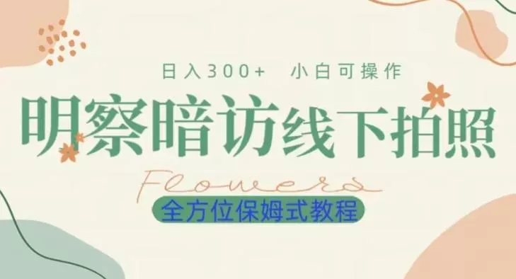 明拍暗拍项目0成本投入日入300+小白可操作保姆式全方位教程