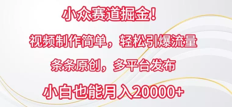 小众赛道掘金,视频制作简单,轻松引爆流量,条条原创,多平台发布【揭秘】