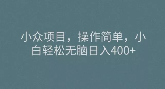小众项目，操作简单，小白轻松无脑日入400+