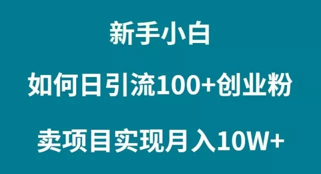 (9556期)新手小白如何通过卖项目实现月入10W+