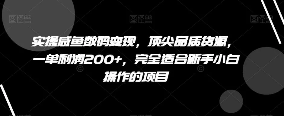 实操咸鱼数码变现,顶尖品质货源,一单利润200+,完全适合新手小白操作的项目【揭秘】