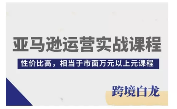 亚马逊运营实战课程,亚马逊从入门到精通,性价比高,相当于市面万元以上元课程