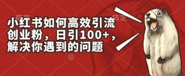 小红书如何高效引流创业粉,日引100+,解决你遇到的问题【揭秘】