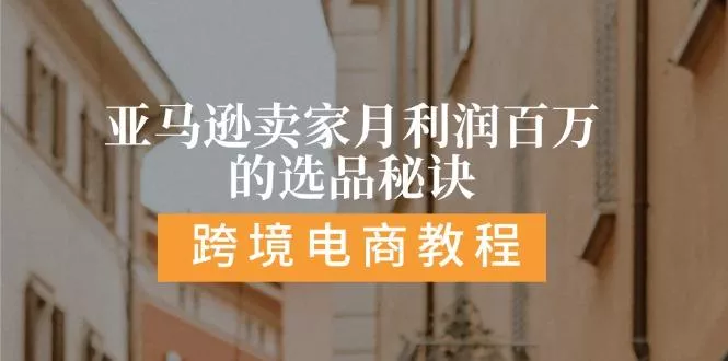 亚马逊卖家月利润百万的选品秘诀:  抓重点/高利润/大方向/大类目/选品...