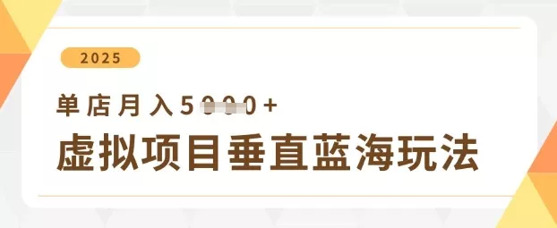 虚拟项目垂直玩法,实现单店月入5k+