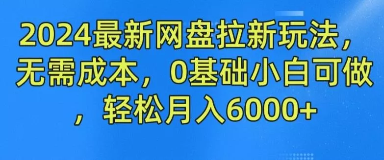 2024最新网盘拉新玩法,无需成本,0基础小白可做,轻松月入6000+【揭秘】