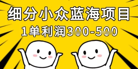 细分小众蓝海项目，一单利润3张，每月收入稳定过1w+