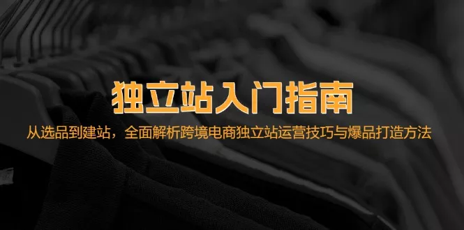 独立站入门指南：从选品到建站，全面解析跨境电商独立站运营技巧与爆品...