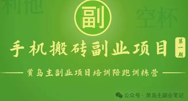 手机搬砖小副业项目训练营1.0,实测1小时收益50+,一部手机轻松日入100+