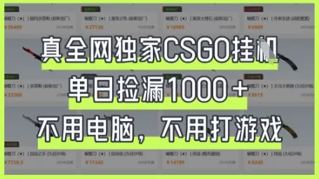 真全网独家CSGO挂G,单日捡漏1k+【揭秘】
