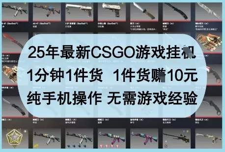 25年最新CSGO游戏挂G，1分钟1件货，1件货挣10元，纯手机操作，无需游戏经验【揭秘】