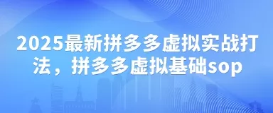 2025最新拼多多虚拟实战打法，拼多多虚拟基础sop