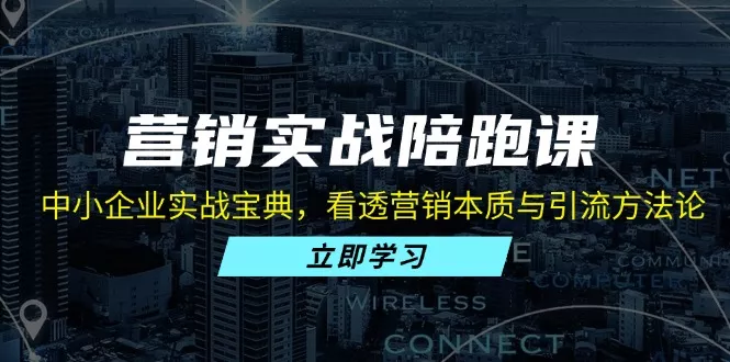 营销实战陪跑课：中小企业实战宝典，看透营销本质与引流方法论