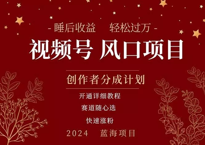 拥有睡眠收益的微信视频号大风口项目，轻松月入过万+，多赛道选择，可...