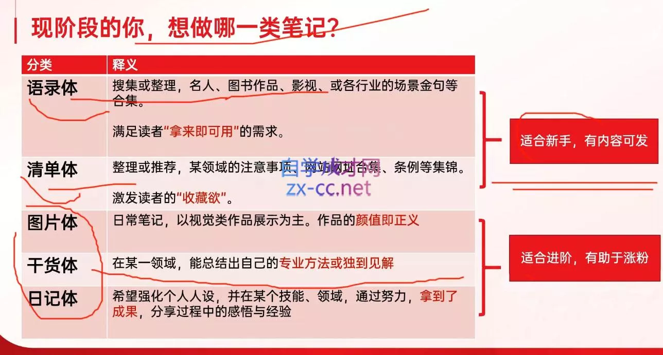秋叶·小红书训练营(7.3-8.7)