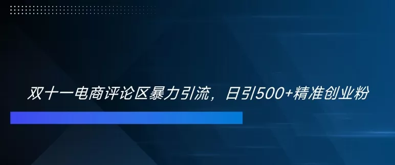 双十一电商评论区暴力引流，日引500+精准创业粉【揭秘】