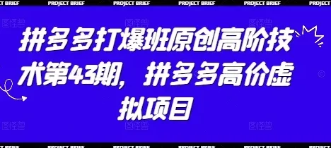 拼多多打爆班原创高阶技术第43期，拼多多高价虚拟项目